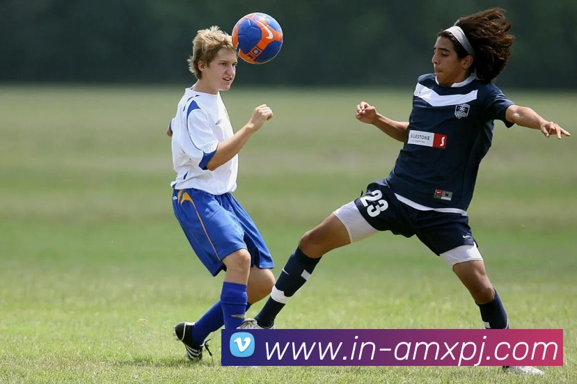 澳门新葡京娱乐发展历程